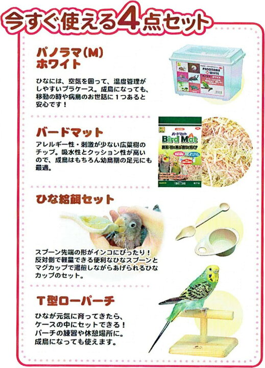楽天市場】送料無料 | インコひな用 特製飼育セット : とりっぴー小鳥 