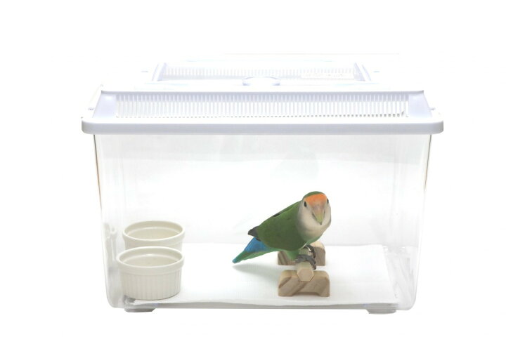 楽天市場】送料無料 | 愛鳥 NEW看護入院ケース(フィンチ・小型インコ) 保温・安静を保つ特製セット : とりっぴー小鳥用品専門店 楽天市場】送料無料 | 愛鳥 NEW看護入院ケース(フィンチ・小型インコ) 保温・安静を保つ特製セット : とりっぴー小鳥用品専門店