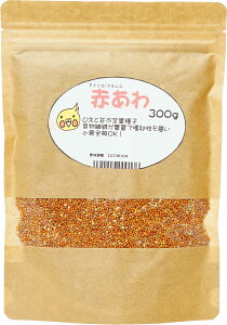  | Ƃҁ[IWi@Ԃ 300g@Iq