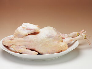 {̊ۂǂ 1H3.1kg`3.3kg yOdYz