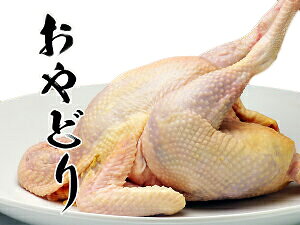 �|�����Ⴄ�I����ǂ�̊ۂǂ�i�e�{�E�e���j 1.3�`1.5kg�i�������j