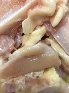 tQ 500g i낪EϓjyƖpz