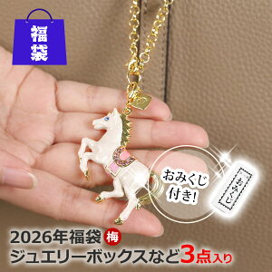 PICALSisJXj2026N܁i~j WG[{bNX CeAG obO`[ nVL[z_[ coL 2026N  킢 CeA u  sBA[X Δ L