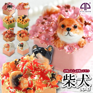 【正規品】 ジュエリーボックス 柴犬のふく・こてつ ピィアース 宝石箱 置物 小物入れ アクセサリーケース 卒業 入学 可愛い クリスマス 新生活 ギフト 母の日 PICALS ピカルス