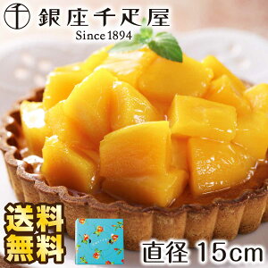 yԌ |CgҌz  񂹃O D ^g(}S[) Mtg  XC[c ̓Mtg 蕨 Ԃ j D ^g t[c^