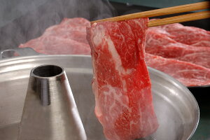 yԌ |CgҌz  F{Y a Ԃԗpiv900gj  Mtg l Zbg O