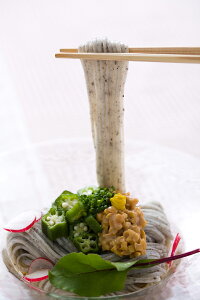 【期間限定 ポイント還元中】 送料無料 「山一」 手延べ黒ごまめん 手延べ黒ごま麺45g×20束