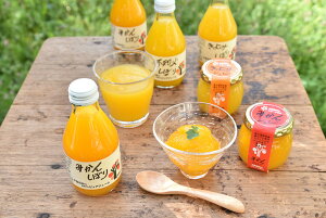 【期間限定 ポイント還元中】 送料無料 和歌山 「伊藤農園」 柑橘ジュース&寒天ジュレセット お取り寄せ ギフト 詰合せ セット グルメ