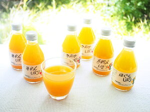 yԌ |CgҌz  a̎R uɓ_v 100%sAW[X180ml×9{Zbg  Mtg l Zbg O