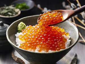 【期間限定 ポイント還元中】 送料無料 北海道産 いくら醤油漬け 360g(40g×9パック) お取り寄せ ギフト 詰合せ セット グルメ