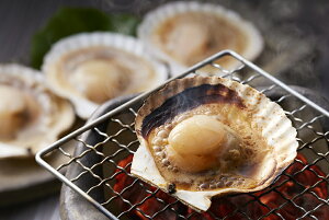 【期間限定 ポイント還元中】 送料無料 北海道産 帆立片貝 20枚(75g×20) お取り寄せ ギフト 詰合せ セット グルメ