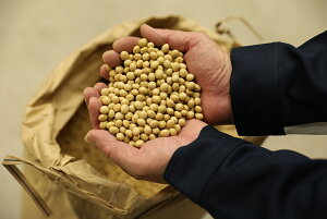 【期間限定 ポイント還元中】 送料無料 広島 「寺岡有機醸造」 寺岡家の有機醤油・調味料詰合せ お取り寄せ ギフト 詰合せ セット グルメ