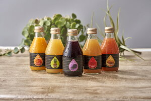 yԌ |CgҌz  uDv Xg[gW[Xt[cR|[g  180ml×10{  Mtg l Zbg O