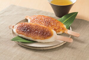 yԌ |CgҌz   ܕ ܕ120g (n100gA20g)×10{  Mtg l Zbg O