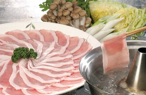 yԌ |CgҌz  Xn Y|[NԂ [X600g  Mtg l Zbg O