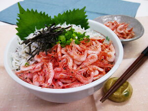 yԌ |CgҌz  É uΌYv x͘pY gс炷Zbg g80gAł炷130g×e1  Mtg l Zbg O