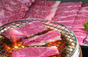 yԌ |CgҌz  Yјa ē o650g  Mtg l Zbg O