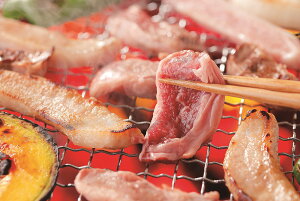 yԌ |CgҌz  O ēZbgEOďC ē̂t  Mtg l Zbg O