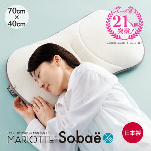 MARIOTTE Sobae ₳ǋ }Ibg [  Ίk k \o   񂱂 ܂ QԂLw   т   ŋ Ki w 荘 ᔽ  