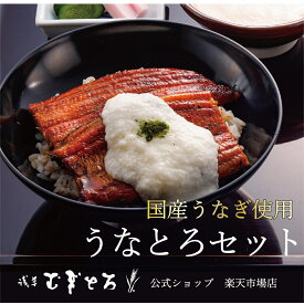 【スーパーDEAL10％】【浅草むぎとろ 公式】 うなとろセット （うなぎ蒲焼・とろろ・たれ付き） 冷凍 【 ギフト プレゼント 食品 食べ物 健康 浅草 むぎとろ とろろ いも 芋 御祝 内祝 上品 上質 高級 国産 贈り物 うなぎ 鰻 夏バテ人気 おすすめ 土用の丑の日 】