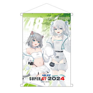 NILZZ Racing B2^yXg[