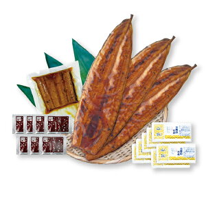  (1200`250g) Ȃ Y Y ȂăZbg iJzE^t Ă V Mtg a v[g Ε   yp N̓ j  j Ԃ 