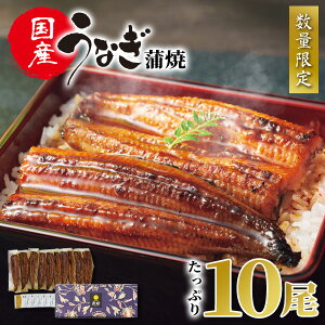 XW BYȂāy1kg(10)z Y Ȃ V EiM unagi Ă  HpbN e  񂹃O O Hו Mtg a vZg e  