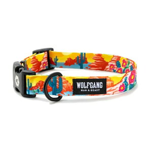 y  zy  炩zy^ցzy^ցzEtMO  MTCY LTCY Wolfgang