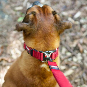 y  vzy^ցzy^ցzC[W[hbO _ubNJ[