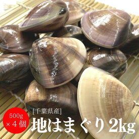 【冷凍】千葉県産 はまぐり 2キロ　(500g×4パック)