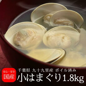 【冷凍】千葉県産 小はまぐり 1.8kg（300g×6パック）