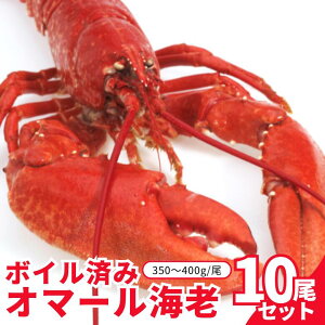 yⓀz{Cς݃I}[CV 10Zbgi350`400gj