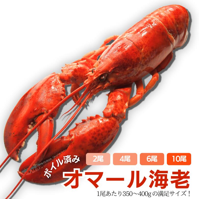 楽天市場】【冷凍】ボイル済みオマール海老 350〜400ｇ : World Fish