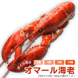 【冷凍】ボイル済みオマール海老　350〜400g