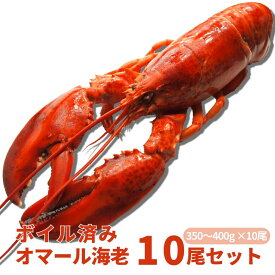 【冷凍】ボイル済みオマール海老 10尾セット（350〜400g）