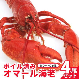 yⓀz{Cς݃I}[CV 4Zbgi350`400gj
