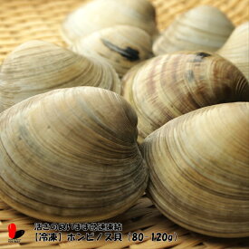 楽天市場 ホンビノス貝 送料無料の通販