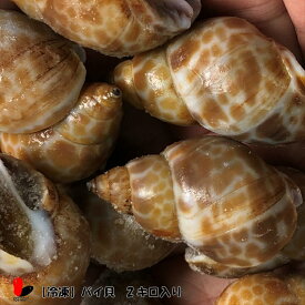 楽天市場 バイ貝の通販 楽天市場 バイ貝の通販