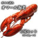 【冷凍】ボイル済みオマール海老　350〜400g　6尾セット