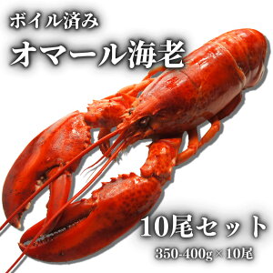 【冷凍】ボイル済みオマール海老　350〜400g　10尾セット