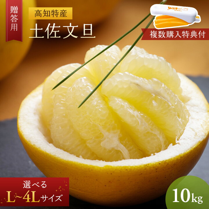 楽天市場】【送料無料】【贈答用】土佐 文旦 10kg サイズ：L〜4L 【2箱 