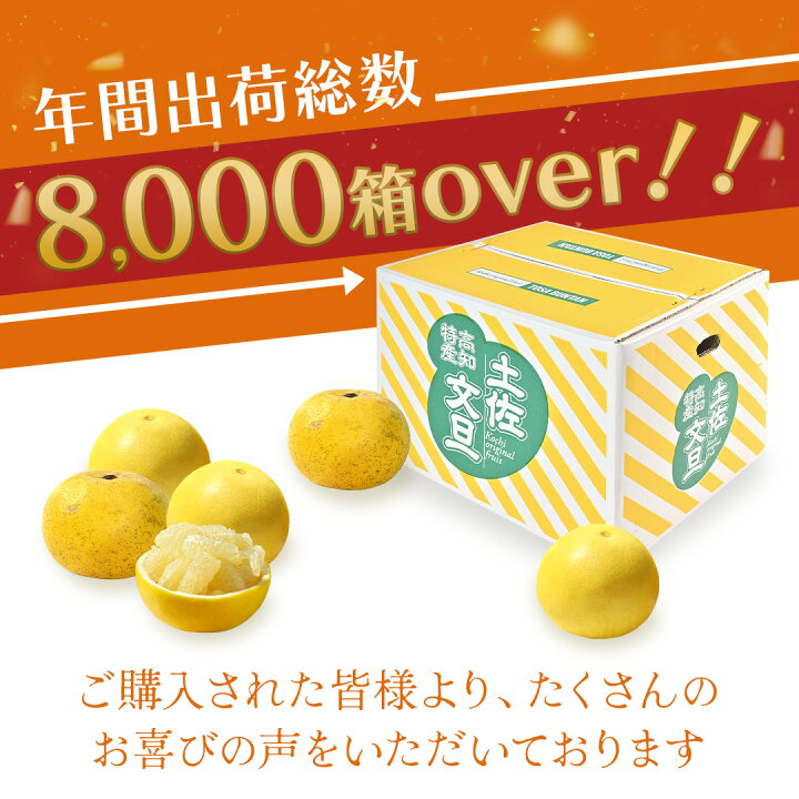 楽天市場】【2月上旬より順次出荷予定】【 送料無料 】 大玉 限定 土佐 