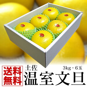 _ XSi |Cg2{ ^ yzōpmY@nEXU6/3kgyyMt_zyyMt_IzyyMt_̂zyyMt_̂z pI Mtg lC Ε