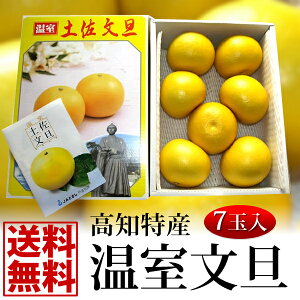 _ XSi |Cg2{ ^ yzōpmY@nEXU7/3kgyyMt_zyyMt_IzyyMt_̂zyyMt_̂zy˔j1205z pI Mtg 