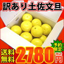 【送料無料】【★予約で早割★】訳あり土佐文旦(露地文旦)10kg サイズおまかせ/ぶんたん ブンタン 文旦【お届け日指定不可】【2月中旬頃発送】