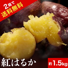 高知県産 紅はるか 約1.5kg 【 2箱購入で 送料無料 】 蜜芋 いも イモ 焼き芋 焼きいも さつまいも スイーツ 焼き芋 アイス お取り寄せ 北海道・沖縄へお届けは別途送料1000円 実用的 ギフト 御 母の日 ギフト プレゼント 母の日プレゼント