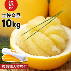 楽天市場】＼ ポイント 2倍 11/17 23:59まで ／ 【送料無料 