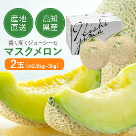 高級 マスクメロン 2玉 約 3kg【 ご家庭用 】【 送料無料 】※但し、北海道・沖縄は別途送料が必要( 西島園芸団地 ) お取り寄せ フルーツ メロン 高知 実用的 ギフト 御 母の日 ギフト プレゼント 母の日プレゼント