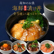 ＼ ポイント2倍! ギフト のし対応可能／ 海鮮丼セット 海鮮丼 漬け丼 藁焼き 鰹たたき 漬け丼 サーモン …
