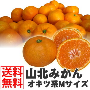 �_ �X���S�i �|�C���g2�{ �^ �y �������� �z���m���Y �݂��� �R�k�݂��� 5kg M�T�C�Y �ō����i (�A���A�k�C���E���ꗣ���ւ̂��͂��̏ꍇ�A�ʓr�������K�v�ł��B�j ���� �~�J�� �t���[�c �ƒ�